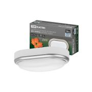 Светильник накладной LED ДПО «Антарес» 15Вт 4000К овал 221*131*68 мм мат.серебро IP54 TDM