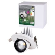 Светильник встраиваемый поворотный «Акцент-1» LED DSL-01-018-WW 18 Вт, 24°, 3000 К, 90 Ra, IP40, TDM