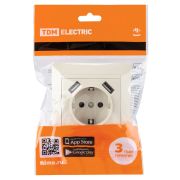 Розетка 2П+З 16А 250В + 2 USB порта 2,1А 5В сл.кость «Лама» TDM
