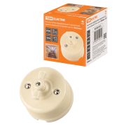 Выключатель фарфоровый поворотный 2-кл. с ручкой (бантик) 10А сл. кость «Болонь» TDM