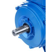 Электродвигатель АИР 56A4 3ф 0,12 кВт 1500 об/мин 1081 TDM