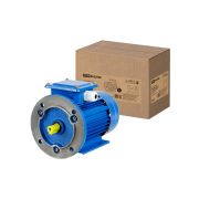 Электродвигатель АИР 63B4 3ф 0,37 кВт 1500 об/мин 2081 TDM