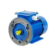 Электродвигатель АИР 100L4 3ф 4 кВт 1500 об/мин 2081 TDM
