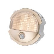 Ночник шампань, «Байкал» TDM