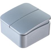 Выключатель 2-кл. ОП Blanca 10А IP20 (сх. 5) 250В с изолир. пластиной алюм. SE BLNVA105013